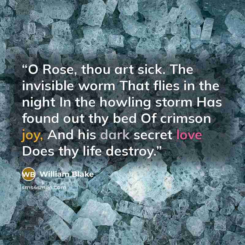 “O Rose, thou art sick. The invisible worm That flies in the night In the howling storm Has found out thy bed Of crimson joy, And his dark secret love Does thy life destroy.” quote by William Blake