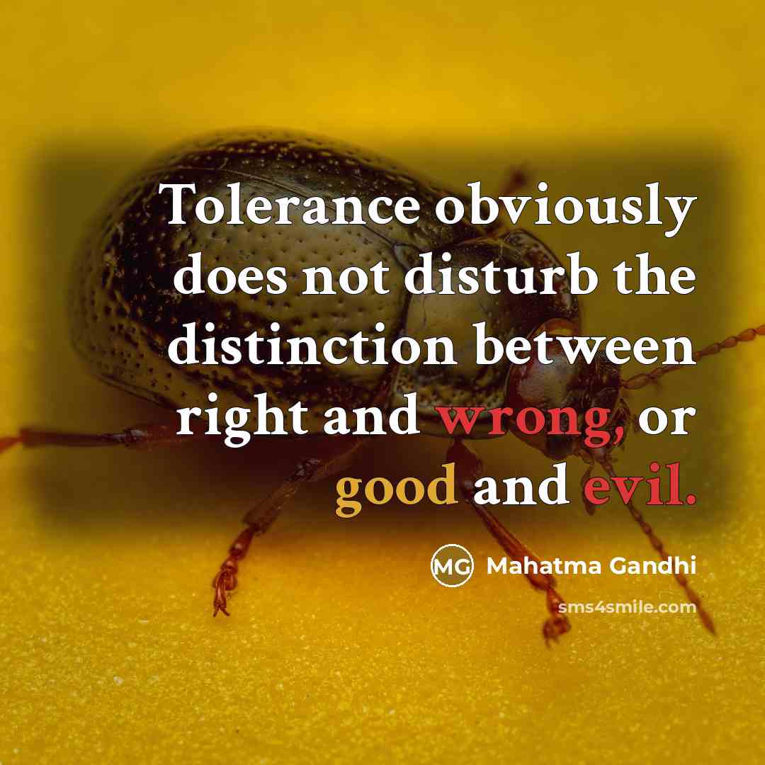 “Tolerance obviously does not disturb the distinction between right and wrong, or good and evil.” quote by Mahatma Gandhi