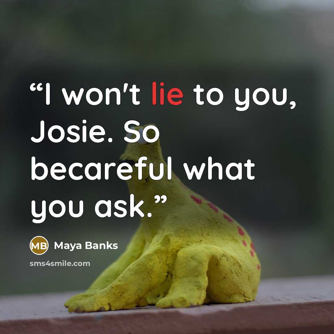 “I won't lie to you, Josie. So becareful what you ask.” quote by Maya Banks