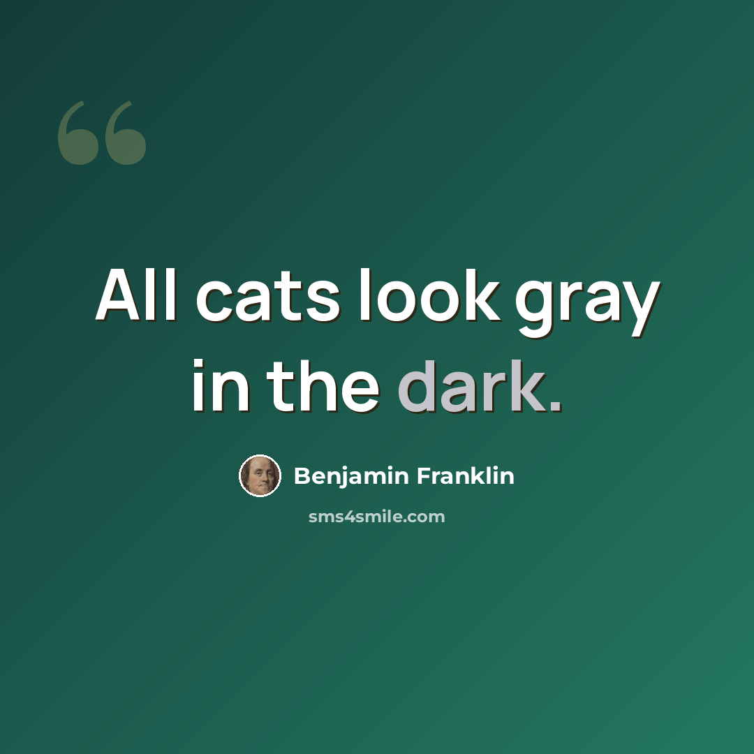 “All cats look gray in the dark.” quote by Benjamin Franklin