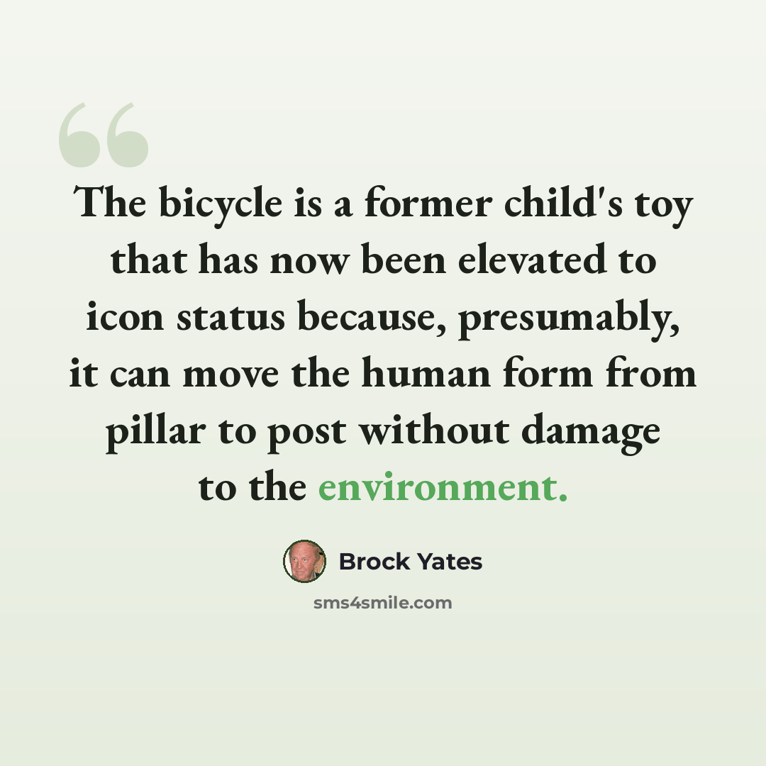 “The bicycle is a former child's toy that has now been elevated to icon status because, presumably, it can move the human form from pillar to post without damage to the environment.” quote by Brock Yates