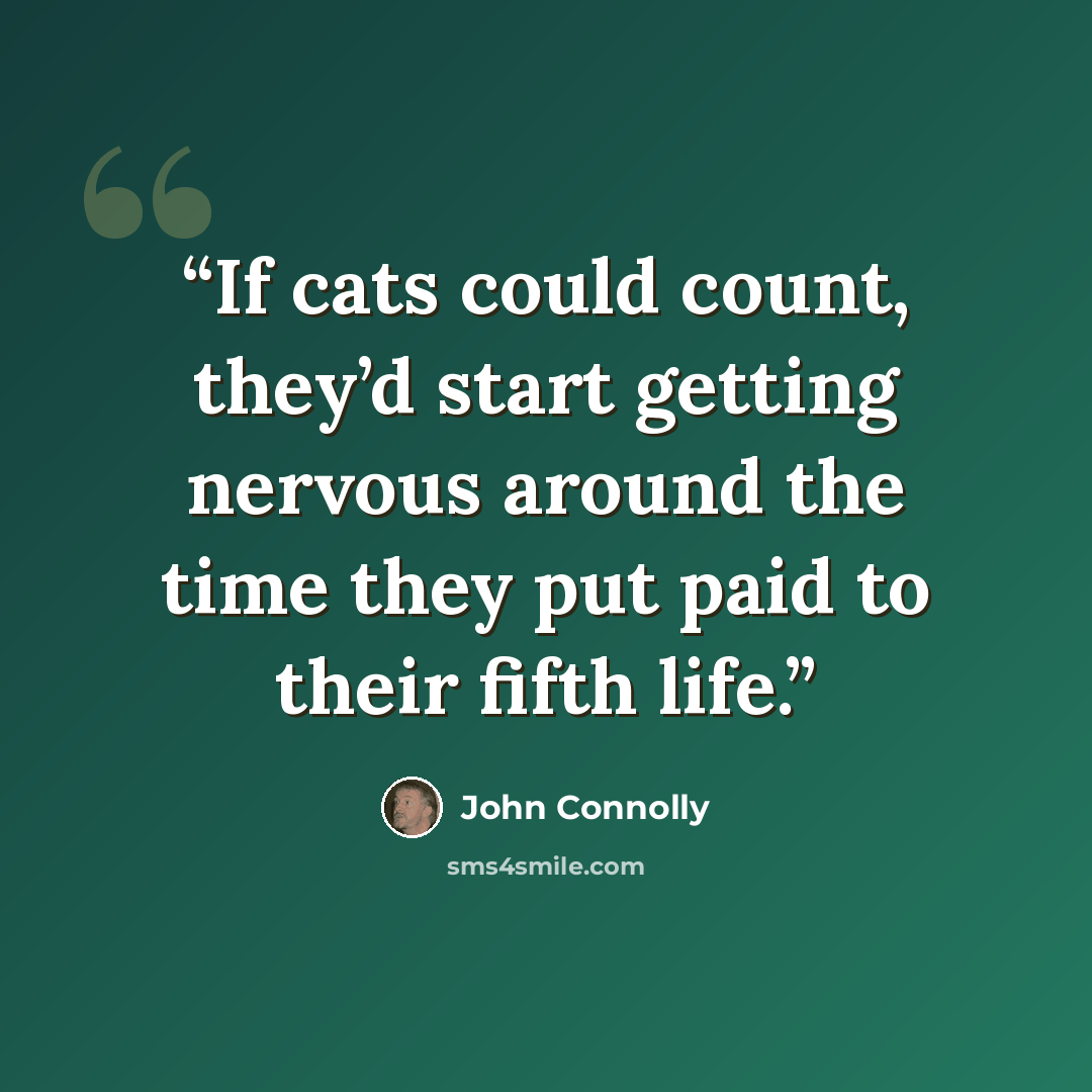 “If cats could count, they’d start getting nervous around the time they put paid to their fifth life.” quote by John Connolly
