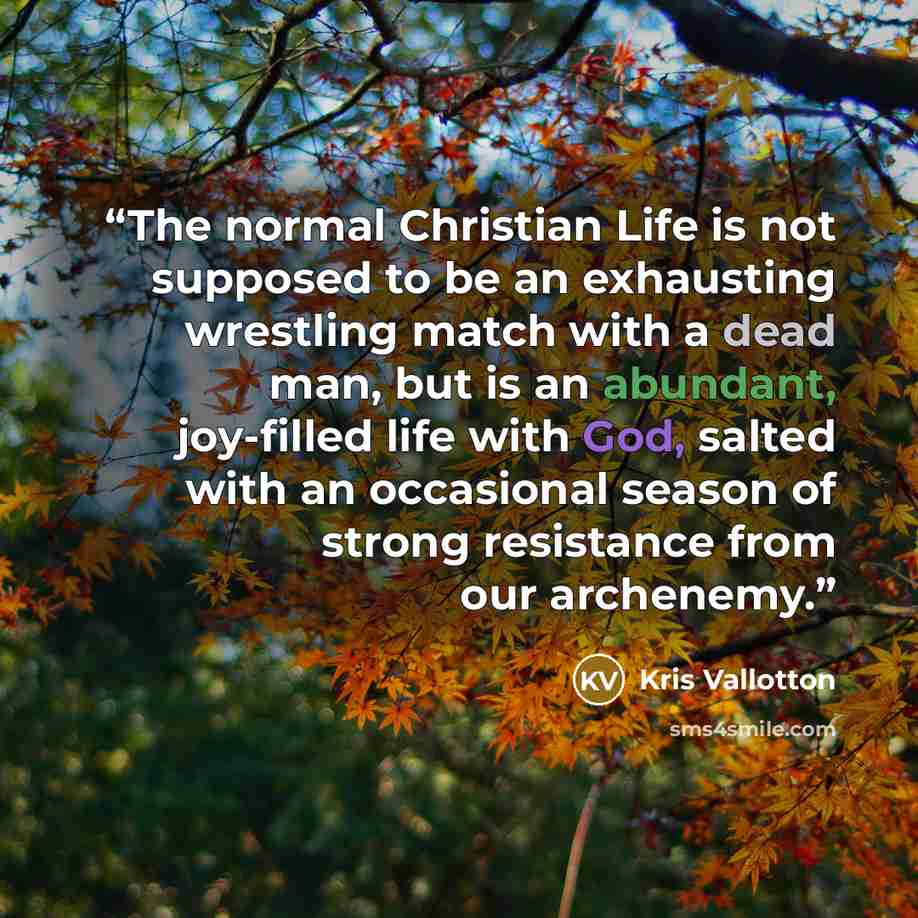 “The normal Christian Life is not supposed to be an exhausting wrestling match with a dead man, but is an abundant, joy-filled life with God, salted with an occasional season of strong resistance from our archenemy.” quote by Kris Vallotton