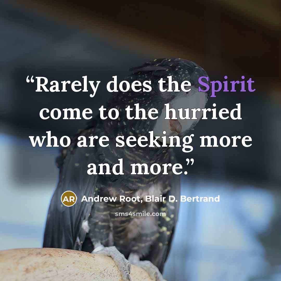 “Rarely does the Spirit come to the hurried who are seeking more and more.” quote by Andrew Root, Blair D. Bertrand