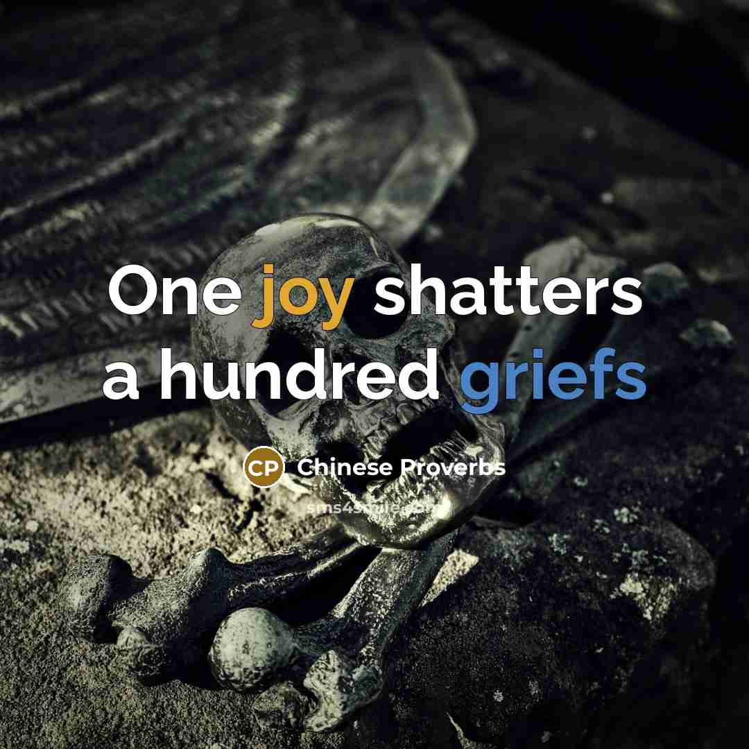 “One joy shatters a hundred griefs” quote by Chinese Proverbs