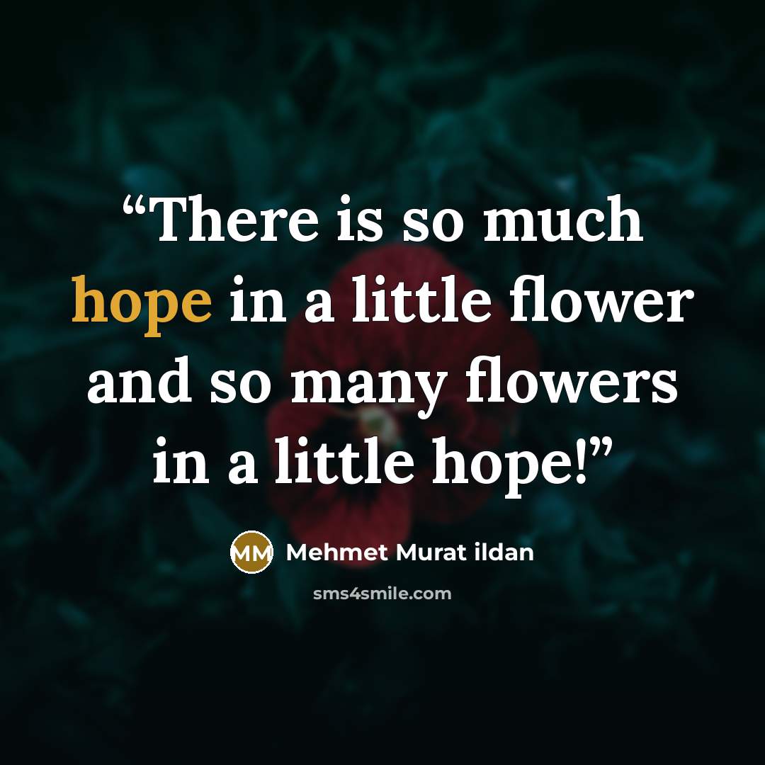 “There is so much hope in a little flower and so many flowers in a little hope!” quote by Mehmet Murat ildan
