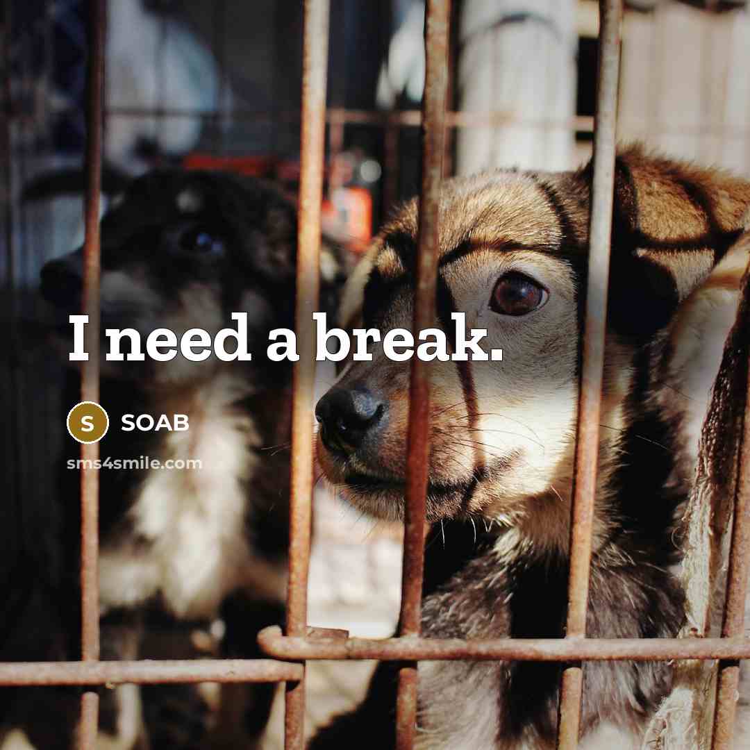 “I need a break.” quote by SOAB