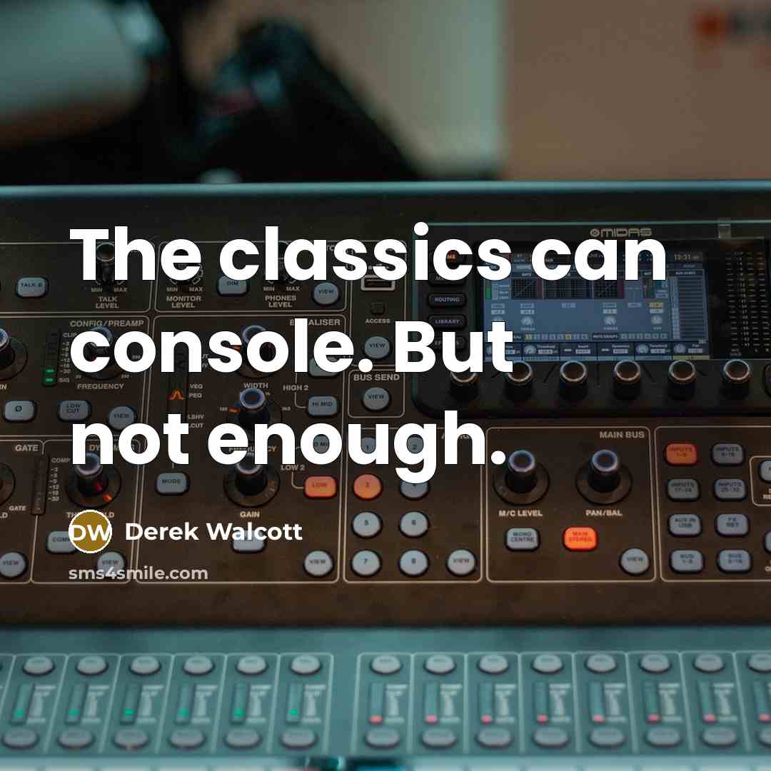 “The classics can console. But not enough.” quote by Derek Walcott