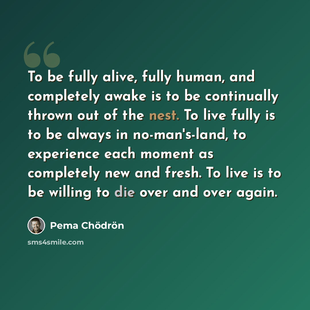 “To be fully alive, fully human, and completely awake is to be continually thrown out of the nest. To live fully is to be always in no-man's-land, to experience each moment as completely new and fresh. To live is to be willing to die over and over again.” quote by Pema Chodron