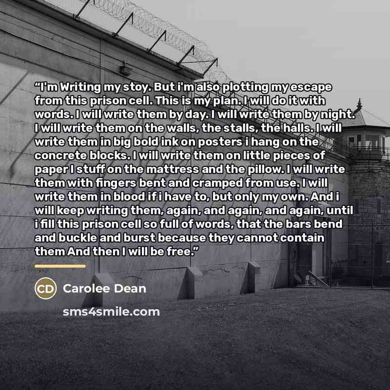 “I'm Writing my stoy. But i'm also plotting my escape from this prison cell. This is my plan. I will do it with words. I will write them by day. I will write them by night. I will write them on the walls, the stalls, the halls. I will write them in big bold ink on posters i hang on the concrete…” quote by Carolee Dean