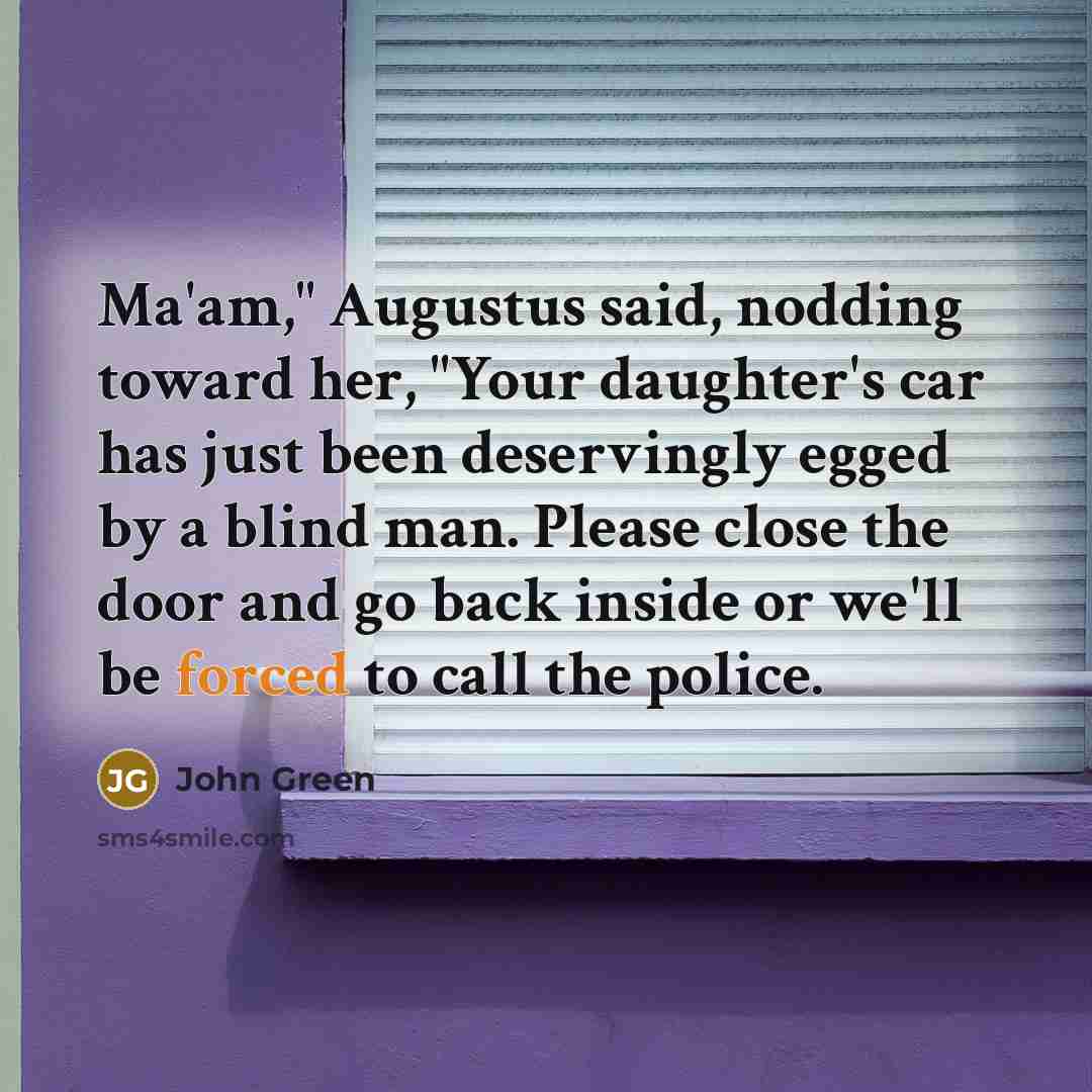 “Ma'am," Augustus said, nodding toward her, "Your daughter's car has just been deservingly egged by a blind man. Please close the door and go back inside or we'll be forced to call the police.” quote by John Green