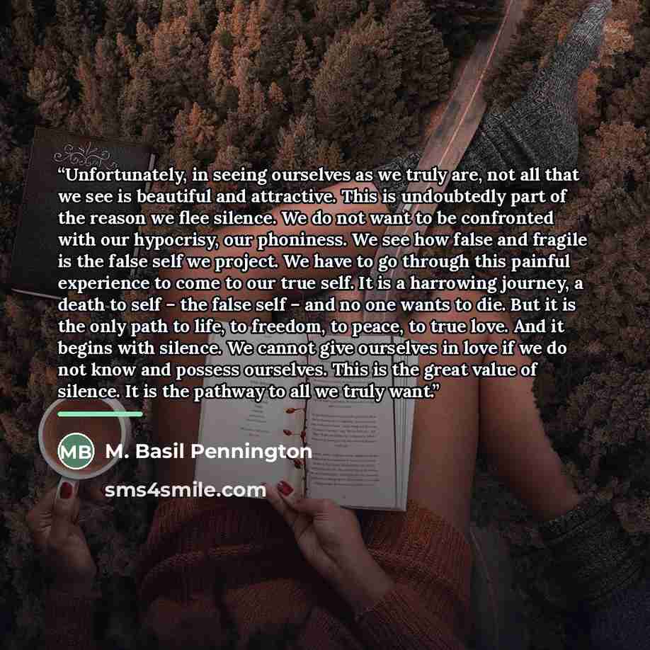 “Unfortunately, in seeing ourselves as we truly are, not all that we see is beautiful and attractive. This is undoubtedly part of the reason we flee silence. We do not want to be confronted with our hypocrisy, our phoniness. We see how false and fragile is the false self we project. We have to go…” quote by M. Basil Pennington