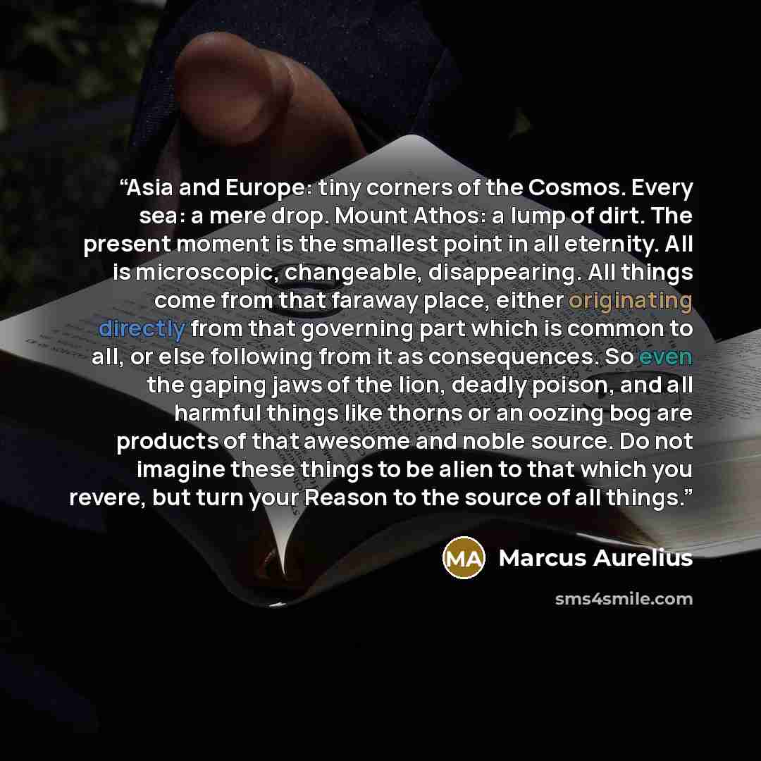 “Asia and Europe: tiny corners of the Cosmos. Every sea: a mere drop. Mount Athos: a lump of dirt. The present moment is the smallest point in all eternity. All is microscopic, changeable, disappearing. All things come from that faraway place, either originating directly from that governing part…” quote by Marcus Aurelius