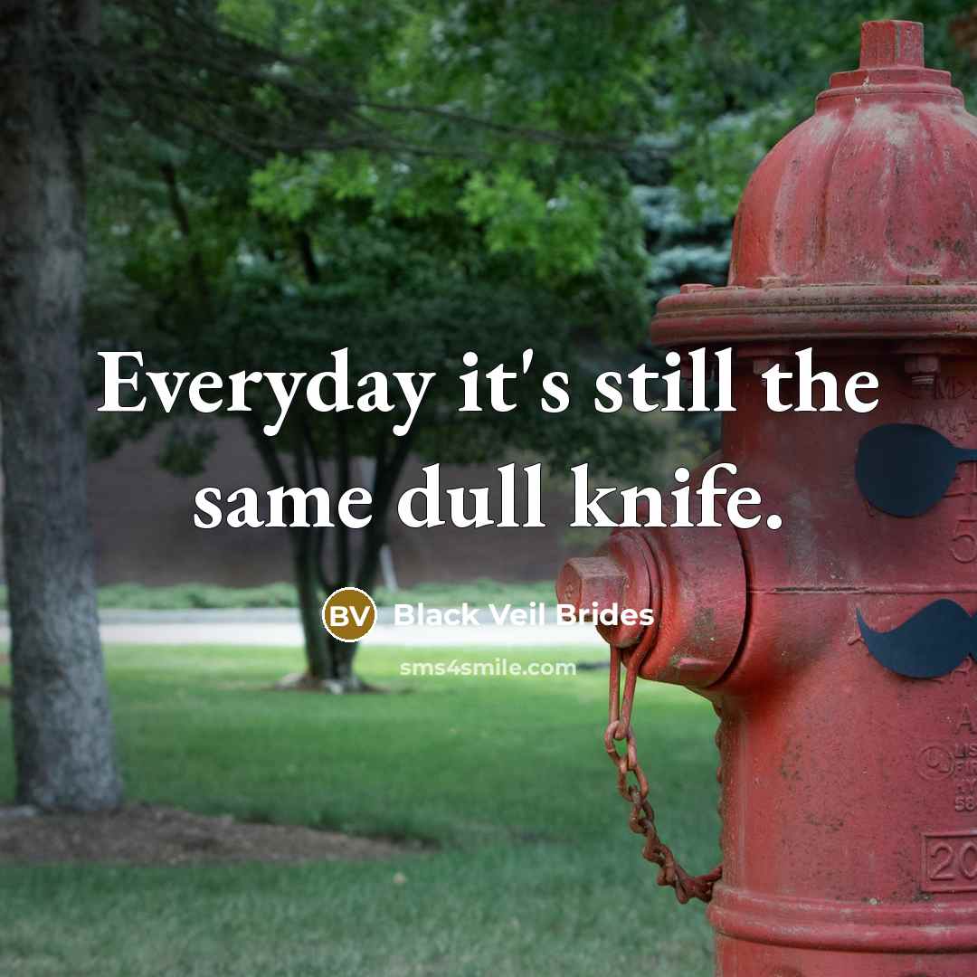 “Everyday it's still the same dull knife.” quote by Black Veil Brides