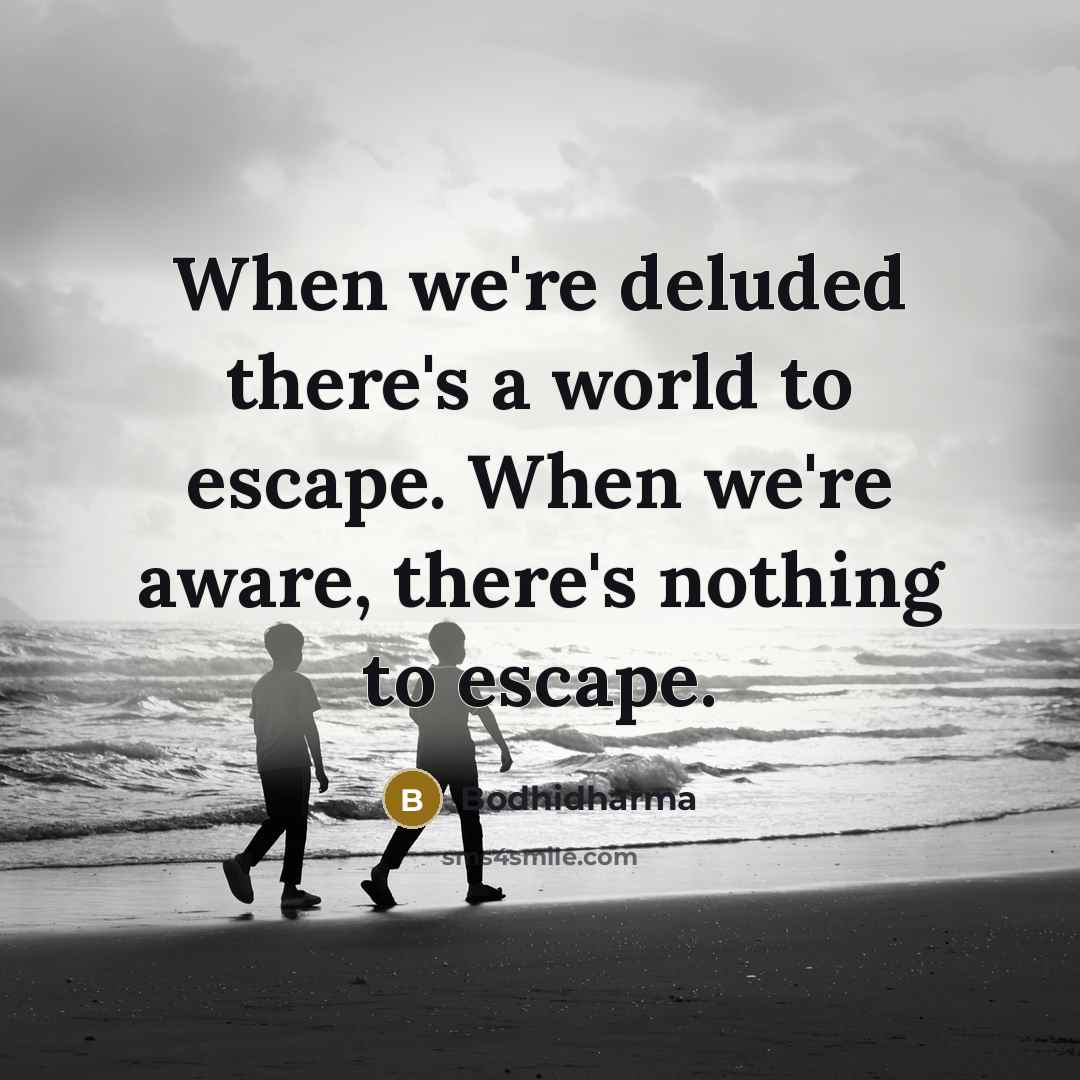 “When we're deluded there's a world to escape. When we're aware, there's nothing to escape.” quote by Bodhidharma