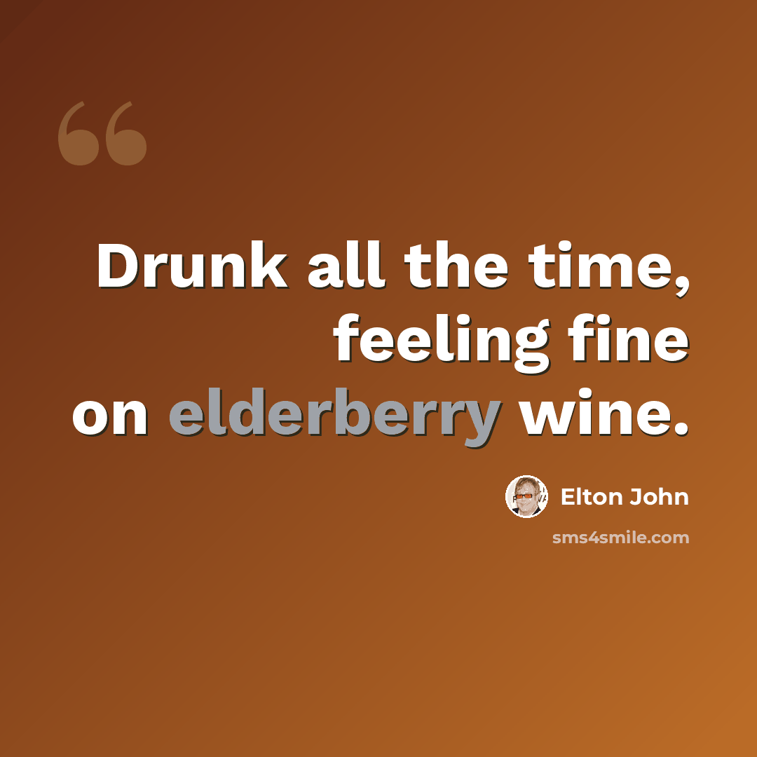 “Drunk all the time, feeling fine on elderberry wine.” quote by Elton John