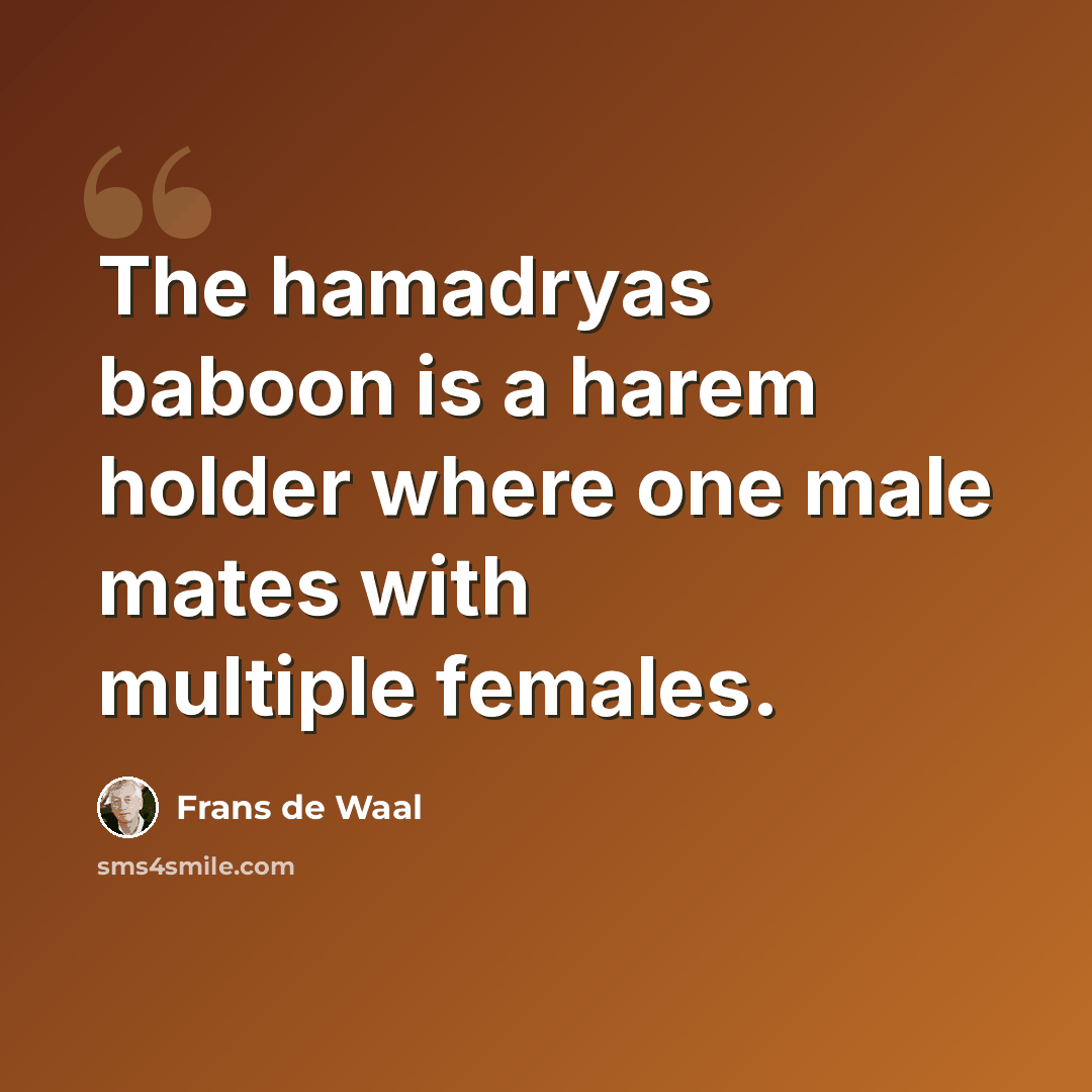“The hamadryas baboon is a harem holder where one male mates with multiple females.” quote by Frans de Waal