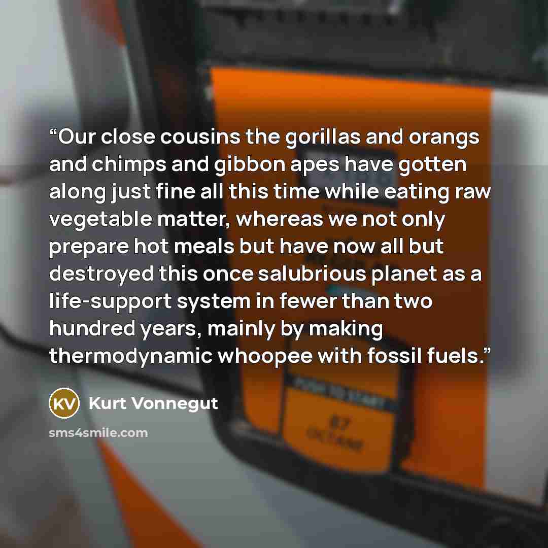 “Our close cousins the gorillas and orangs and chimps and gibbon apes have gotten along just fine all this time while eating raw vegetable matter, whereas we not only prepare hot meals but have now all but destroyed this once salubrious planet as a life-support system in fewer than two hundred…” quote by Kurt Vonnegut