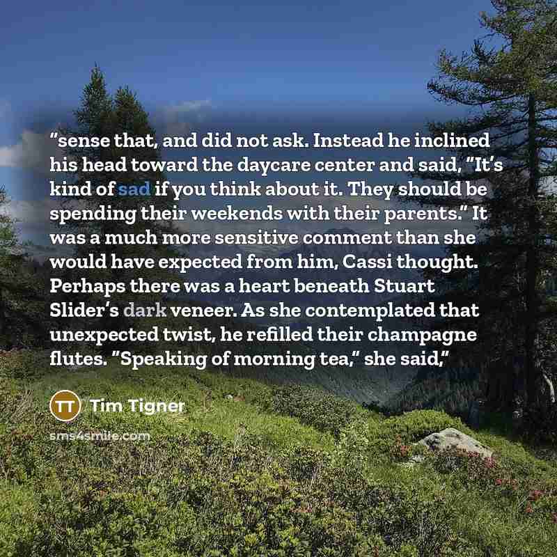 “sense that, and did not ask. Instead he inclined his head toward the daycare center and said, “It’s kind of sad if you think about it. They should be spending their weekends with their parents.” It was a much more sensitive comment than she would have expected from him, Cassi thought. Perhaps…” quote by Tim Tigner