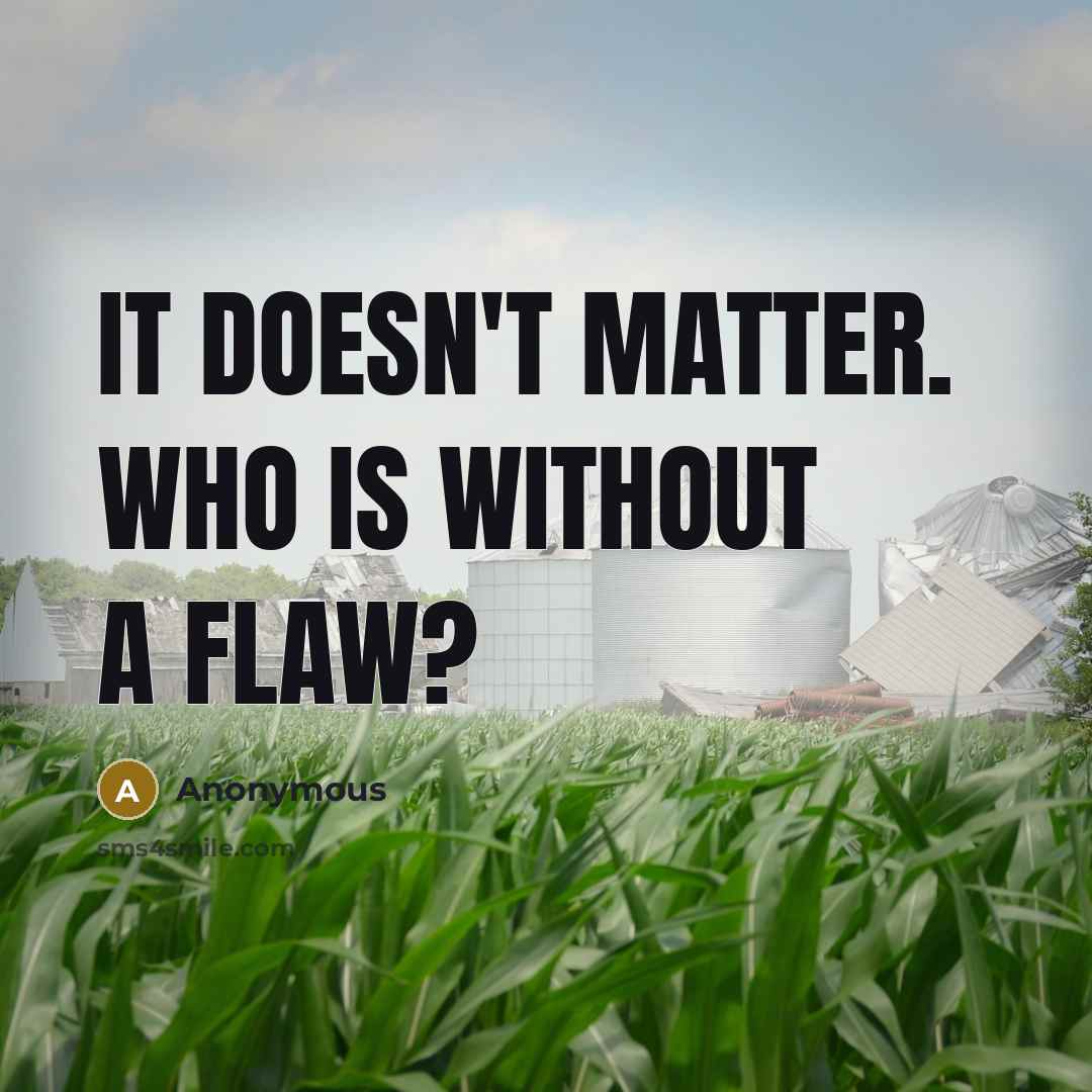 “It doesn't matter. Who is without a flaw?” quote by Anonymous