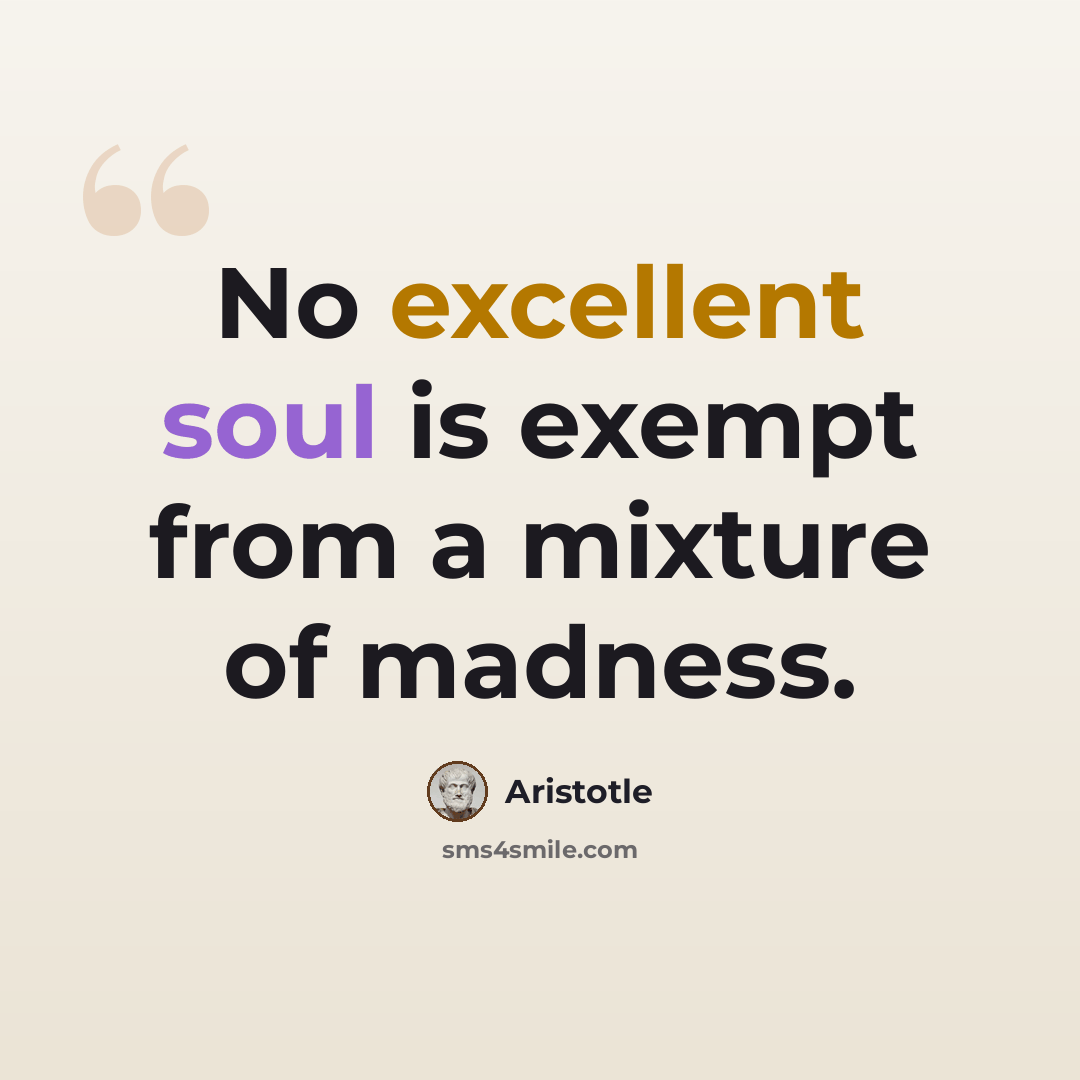 “No excellent soul is exempt from a mixture of madness.” quote by Aristotle