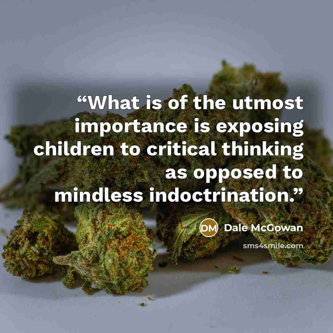 “What is of the utmost importance is exposing children to critical thinking as opposed to mindless indoctrination.” quote by Dale McGowan