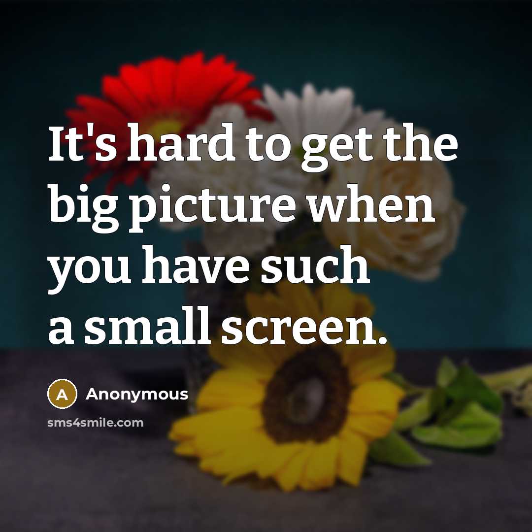 “It's hard to get the big picture when you have such a small screen.” quote by Anonymous