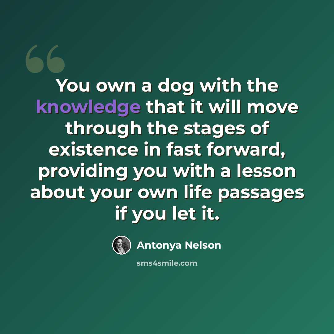 “You own a dog with the knowledge that it will move through the stages of existence in fast forward, providing you with a lesson about your own life passages if you let it.” quote by Antonya Nelson