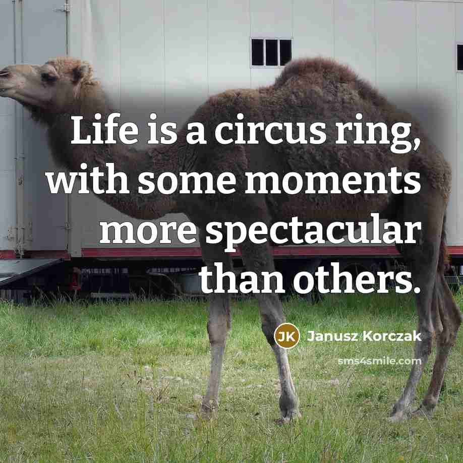 “Life is a circus ring, with some moments more spectacular than others.” quote by Janusz Korczak