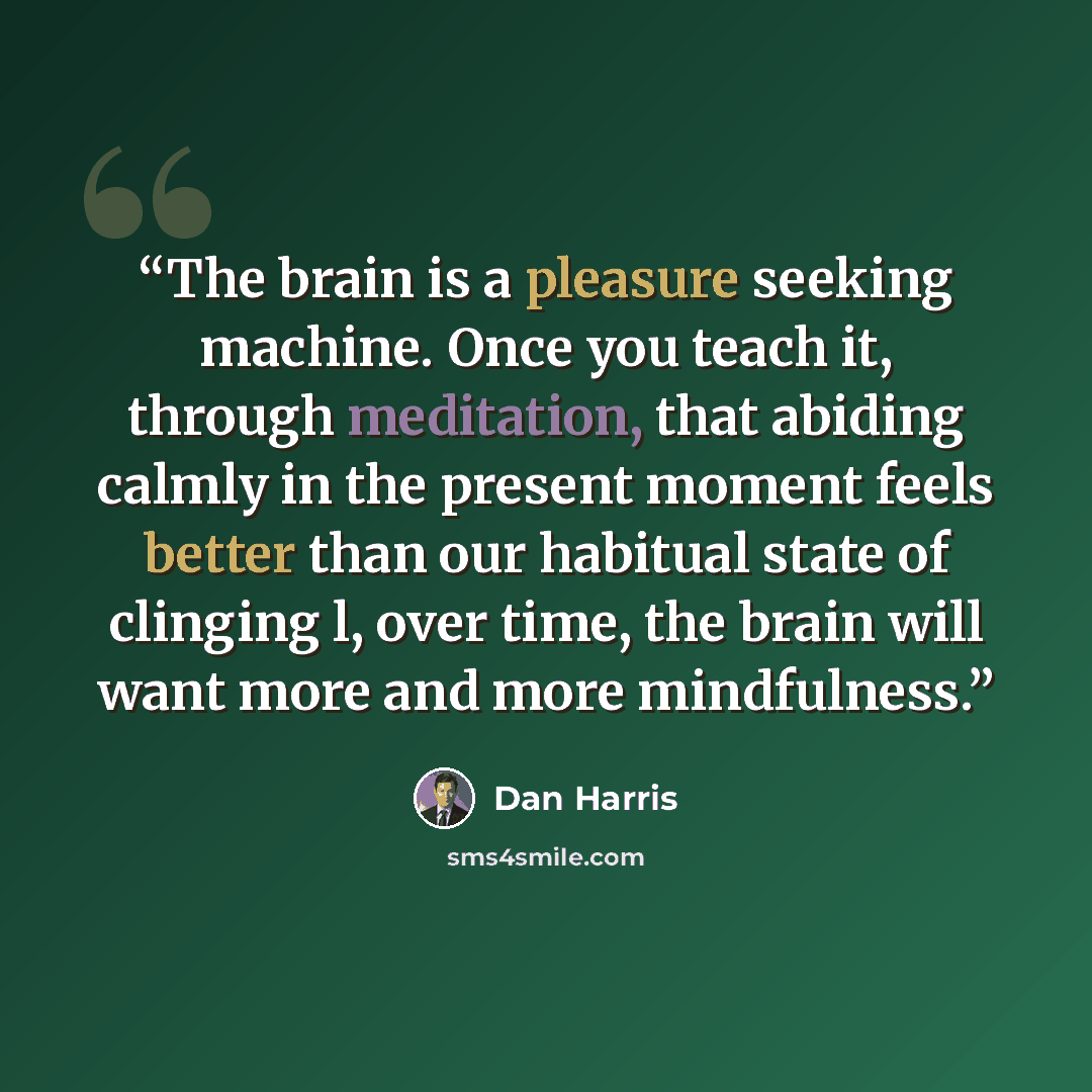 “The brain is a pleasure seeking machine. Once you teach it, through meditation, that abiding calmly in the present moment feels better than our habitual state of clinging l, over time, the brain will want more and more mindfulness.” quote by Dan Harris