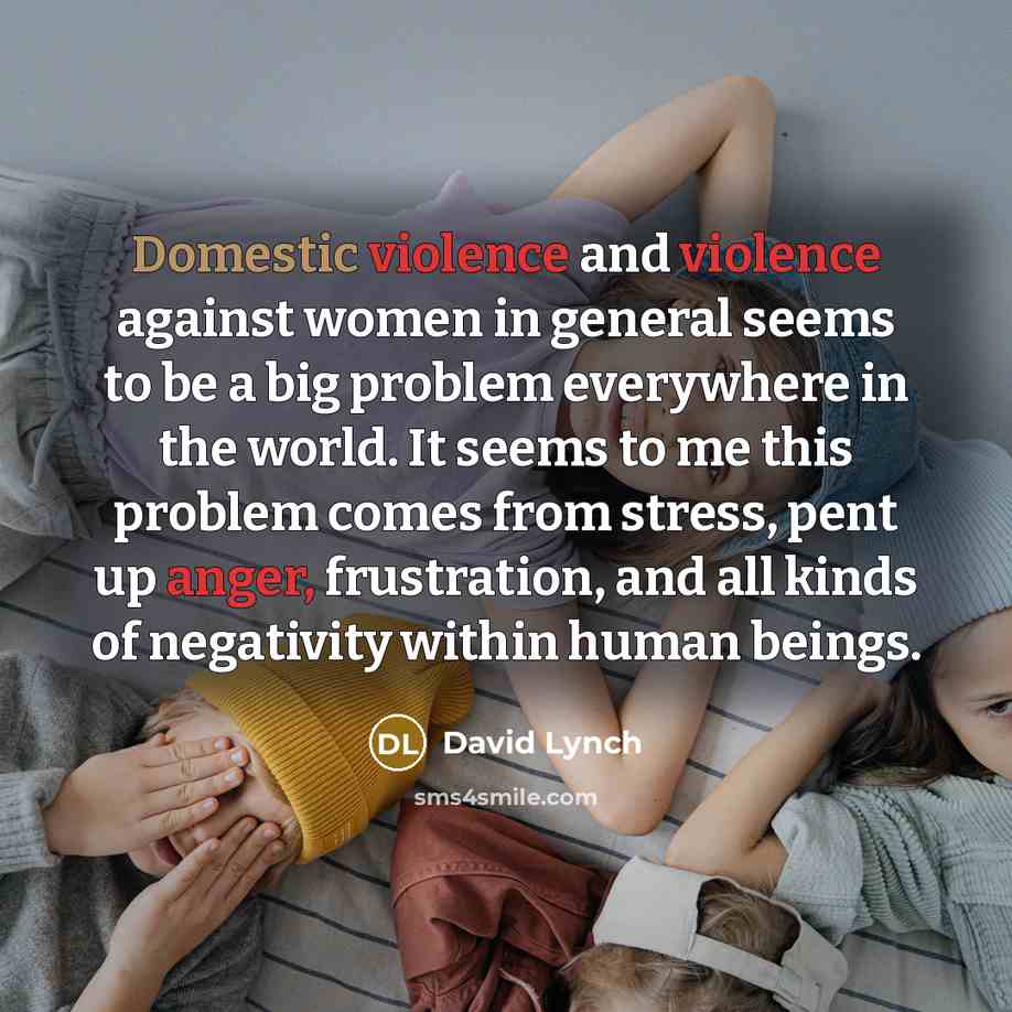 “Domestic violence and violence against women in general seems to be a big problem everywhere in the world. It seems to me this problem comes from stress, pent up anger, frustration, and all kinds of negativity within human beings.” quote by David Lynch