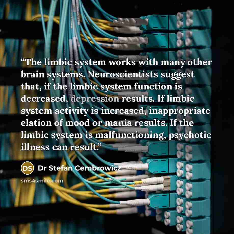 “The limbic system works with many other brain systems. Neuroscientists suggest that, if the limbic system function is decreased, depression results. If limbic system activity is increased, inappropriate elation of mood or mania results. If the limbic system is malfunctioning, psychotic illness can…” quote by Dr Stefan Cembrowicz
