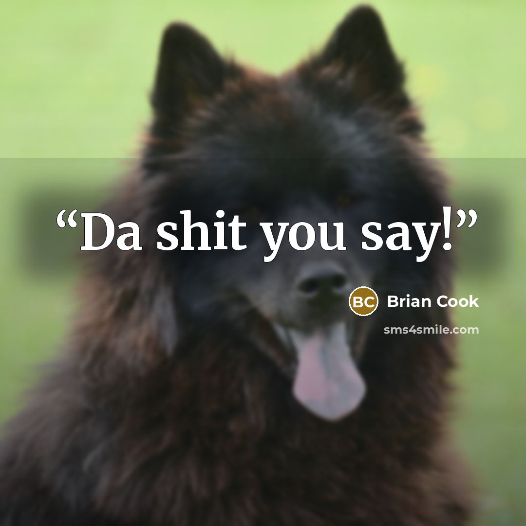 “Da shit you say!” quote by Brian Cook
