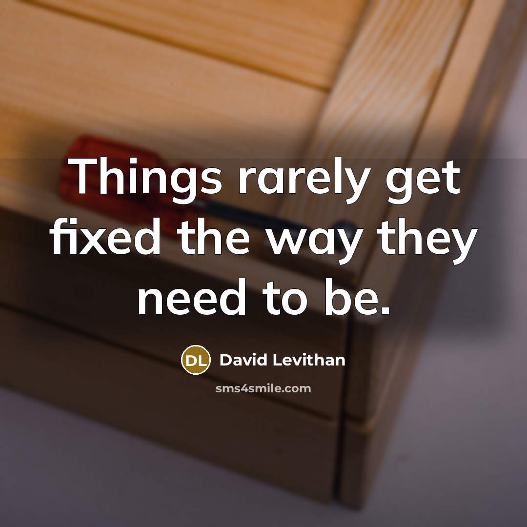“Things rarely get fixed the way they need to be.” quote by David Levithan