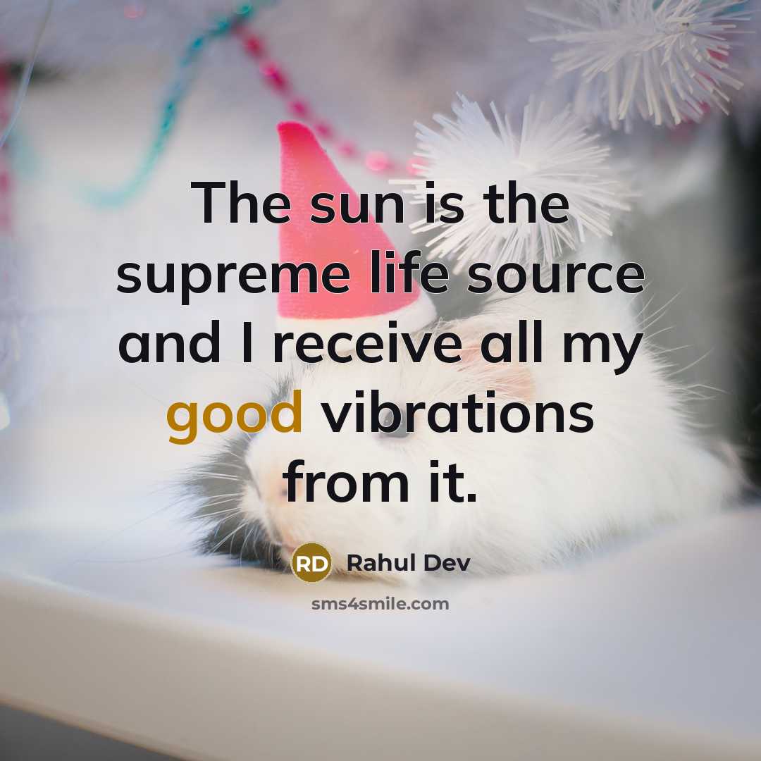 “The sun is the supreme life source and I receive all my good vibrations from it.” quote by Rahul Dev