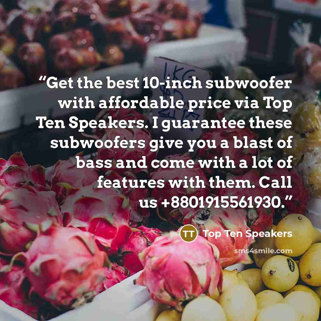 “Get the best 10-inch subwoofer with affordable price via Top Ten Speakers. I guarantee these subwoofers give you a blast of bass and come with a lot of features with them. Call us +8801915561930.” quote by Top Ten Speakers