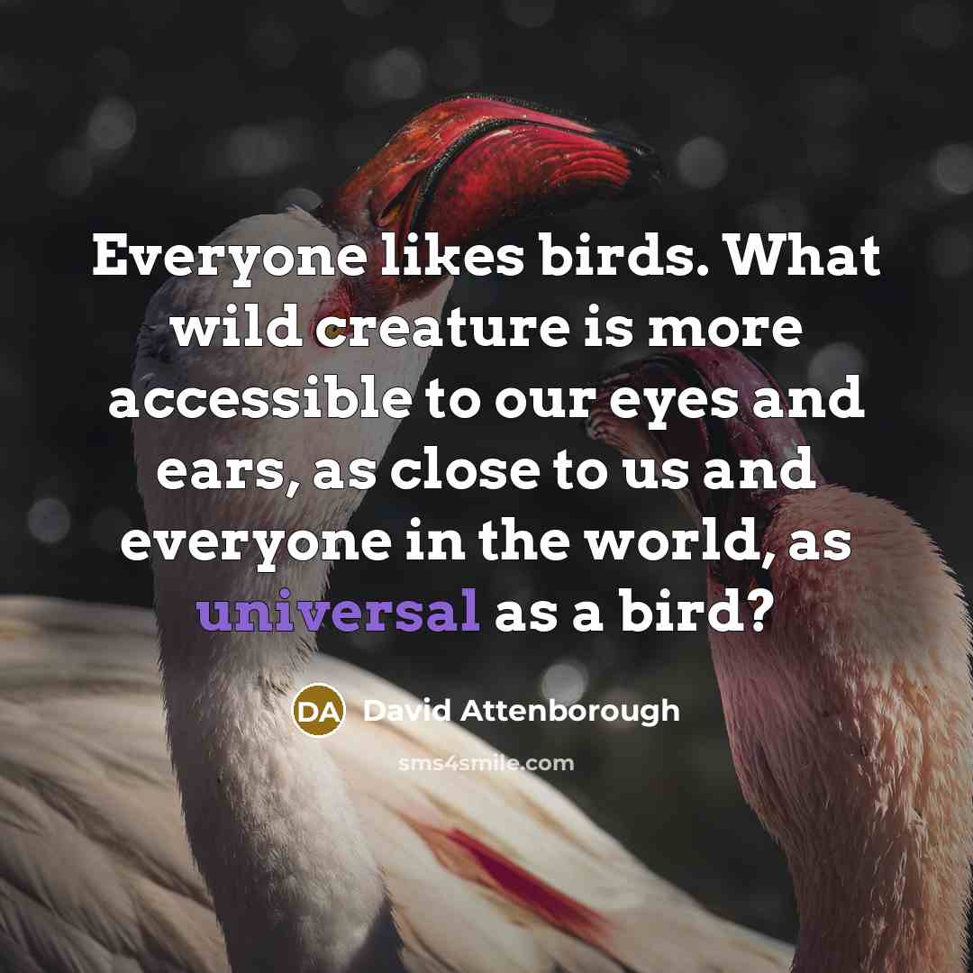 “Everyone likes birds. What wild creature is more accessible to our eyes and ears, as close to us and everyone in the world, as universal as a bird?” quote by David Attenborough
