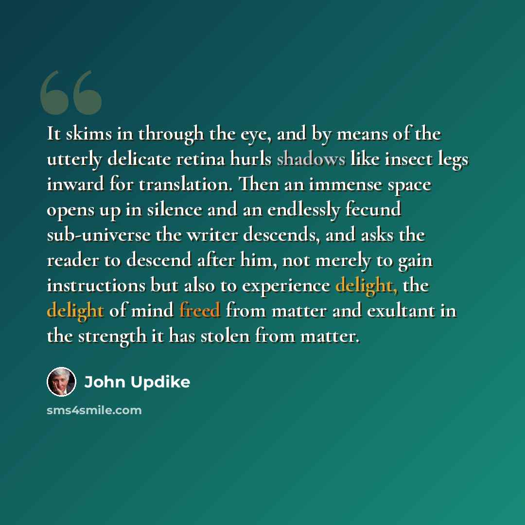 “It skims in through the eye, and by means of the utterly delicate retina hurls shadows like insect legs inward for translation. Then an immense space opens up in silence and an endlessly fecund sub-universe the writer descends, and asks the reader to descend after him, not merely to gain…” quote by John Updike