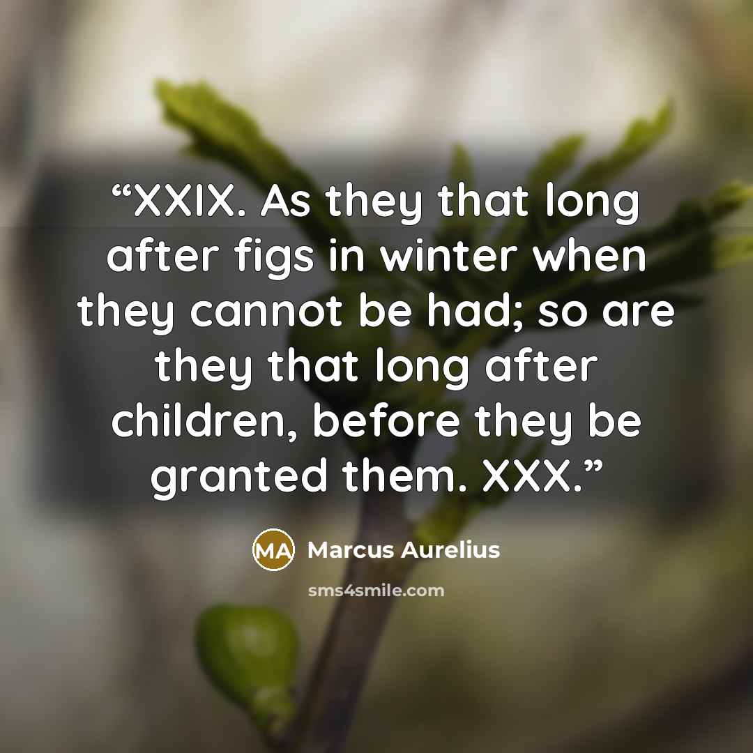 “XXIX. As they that long after figs in winter when they cannot be had; so are they that long after children, before they be granted them. XXX.” quote by Marcus Aurelius
