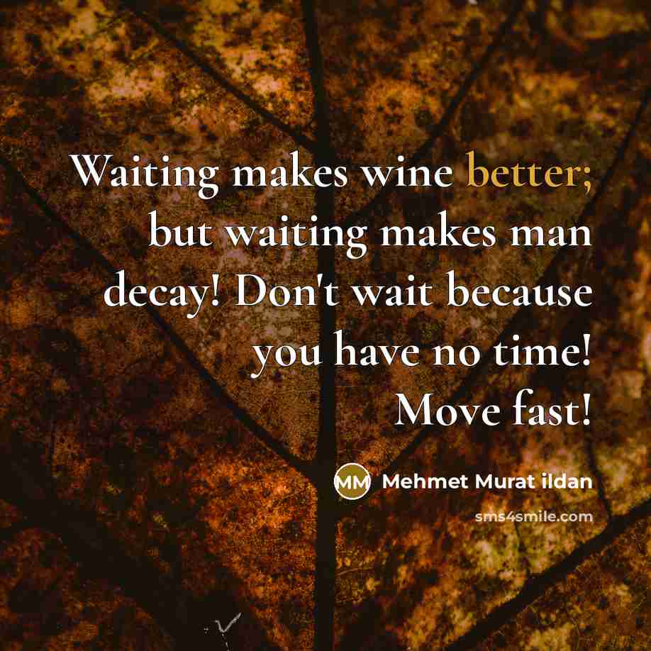 “Waiting makes wine better; but waiting makes man decay! Don't wait because you have no time! Move fast!” quote by Mehmet Murat Ildan