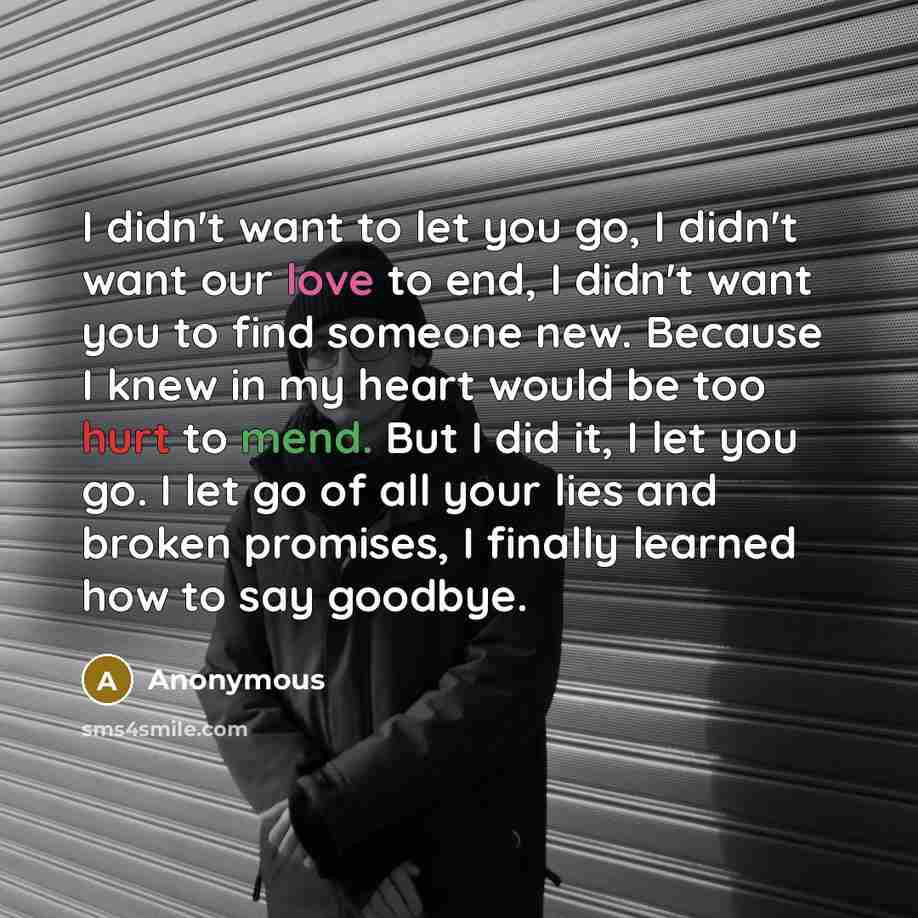 “I didn't want to let you go, I didn't want our love to end, I didn't want you to find someone new. Because I knew in my heart would be too hurt to mend. But I did it, I let you go. I let go of all your lies and broken promises, I finally learned how to say goodbye.” quote by Anonymous