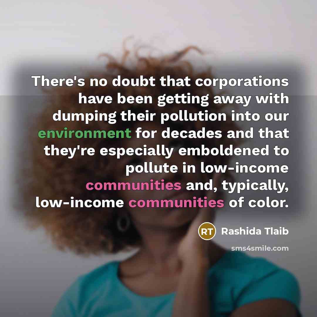 “There's no doubt that corporations have been getting away with dumping their pollution into our environment for decades and that they're especially emboldened to pollute in low-income communities and, typically, low-income communities of color.” quote by Rashida Tlaib