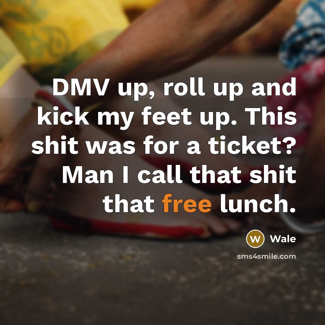 “DMV up, roll up and kick my feet up. This shit was for a ticket? Man I call that shit that free lunch.” quote by Wale