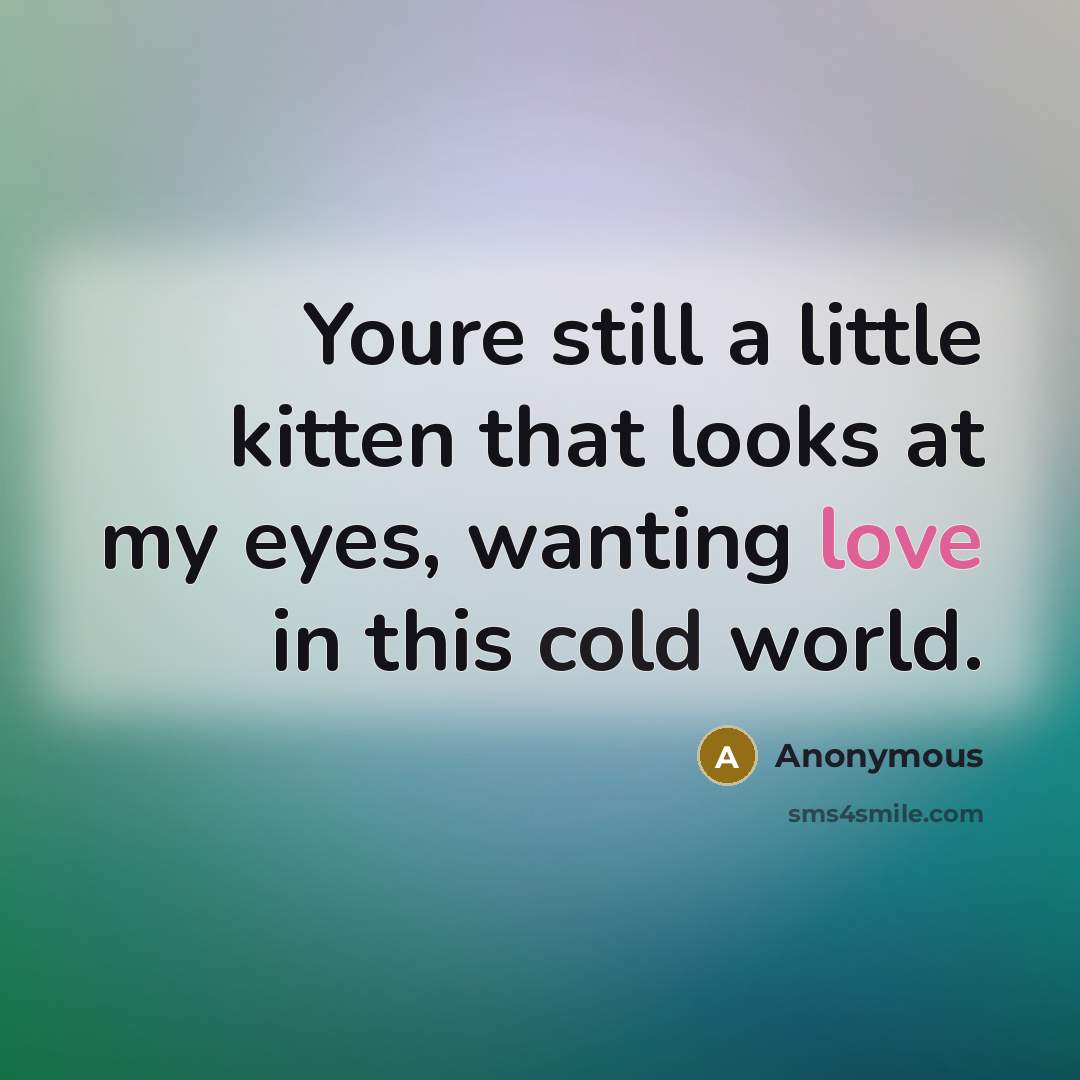 “Youre still a little kitten that looks at my eyes, wanting love in this cold world.” quote by Anonymous