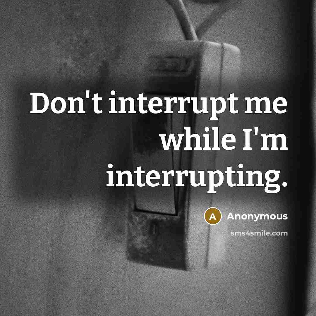 “Don't interrupt me while I'm interrupting.” quote by Anonymous