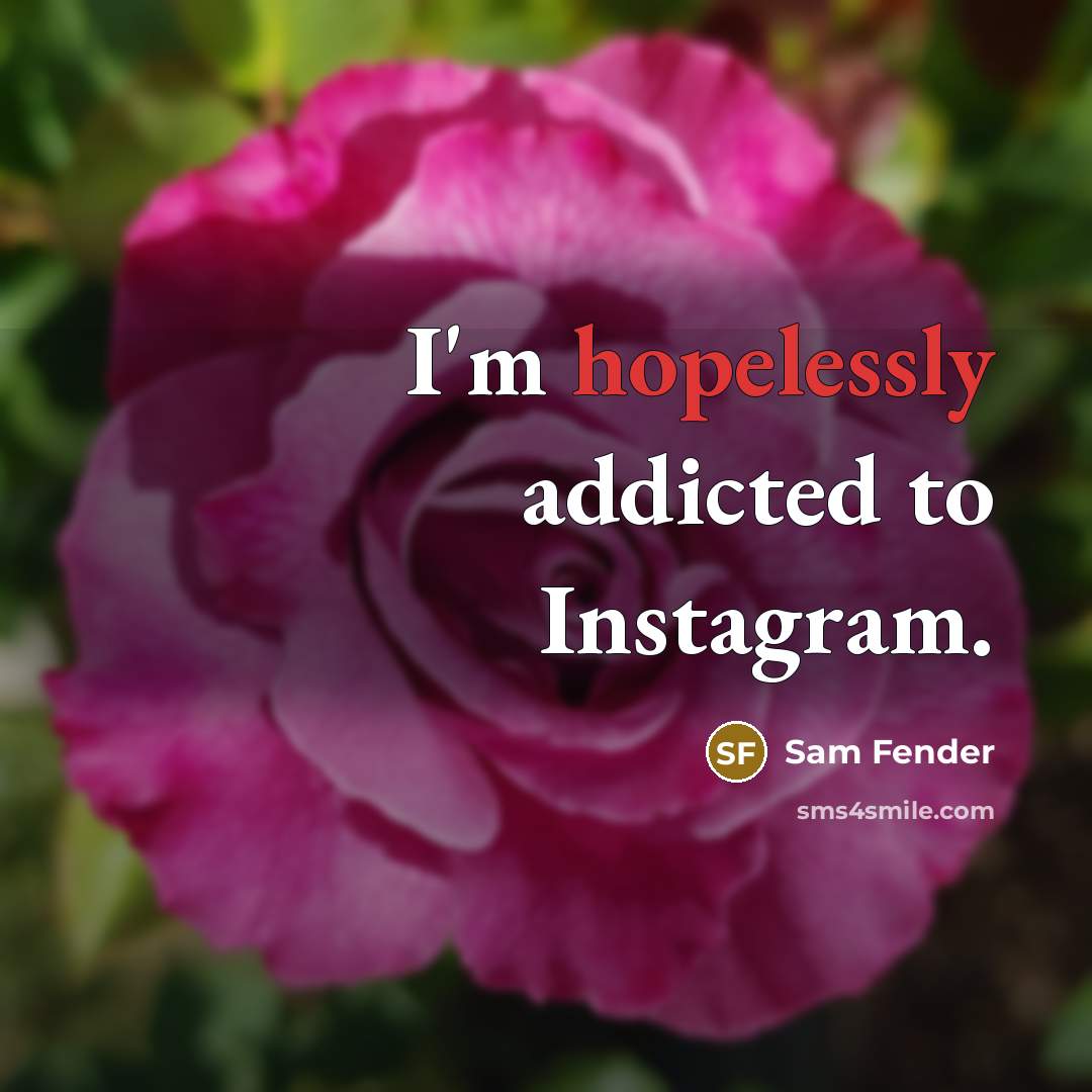 “I'm hopelessly addicted to Instagram.” quote by Sam Fender