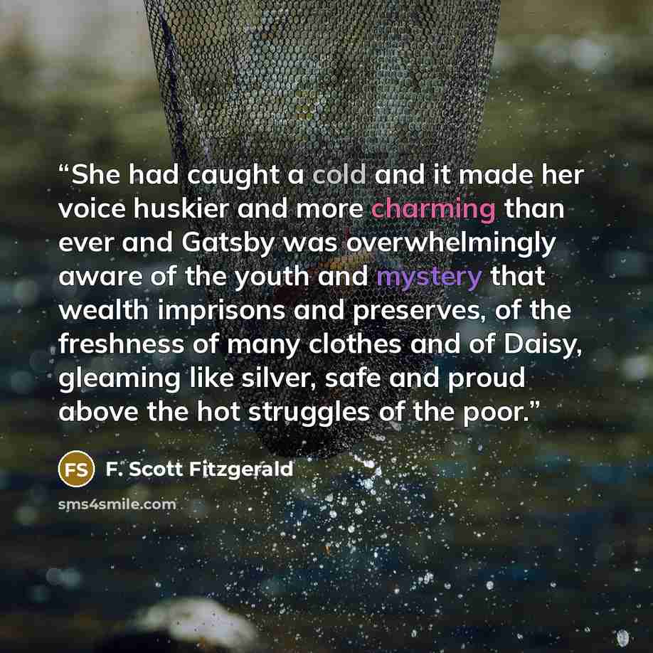 “She had caught a cold and it made her voice huskier and more charming than ever and Gatsby was overwhelmingly aware of the youth and mystery that wealth imprisons and preserves, of the freshness of many clothes and of Daisy, gleaming like silver, safe and proud above the hot struggles of the poor.” quote by F. Scott Fitzgerald