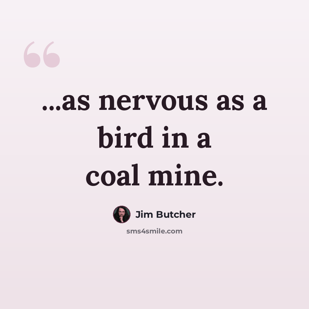 “...as nervous as a bird in a coal mine.” quote by Jim Butcher