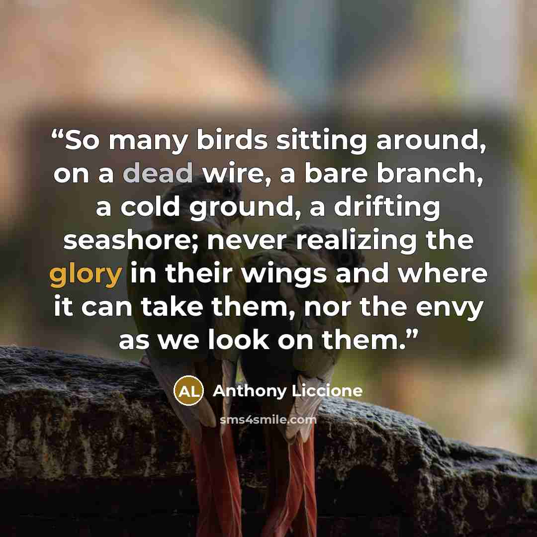 “So many birds sitting around, on a dead wire, a bare branch, a cold ground, a drifting seashore; never realizing the glory in their wings and where it can take them, nor the envy as we look on them.” quote by Anthony Liccione