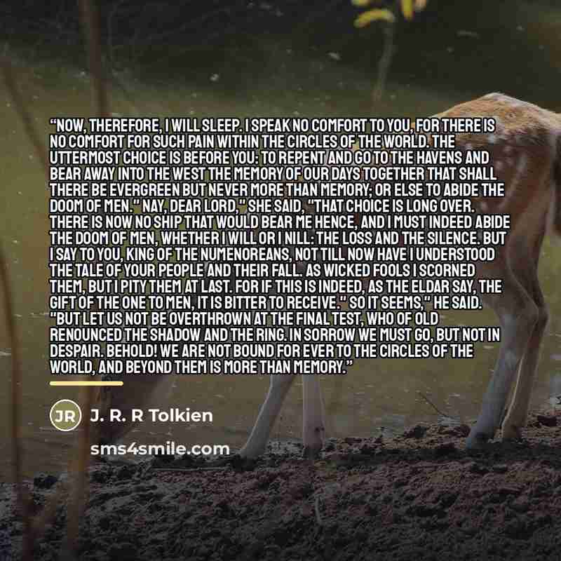 “Now, therefore, I will sleep. I speak no comfort to you, for there is no comfort for such pain within the circles of the world. The uttermost choice is before you: to repent and go to the Havens and bear away into the West the memory of our days together that shall there be evergreen but never…” quote by Anonymous